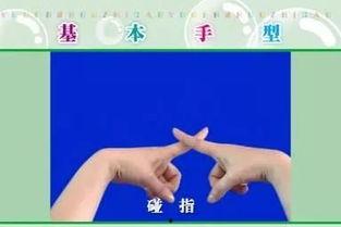 成人感恩手势操视频,成人心灵滋养的简单之道