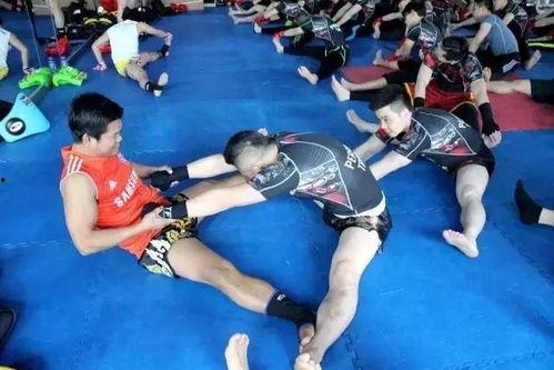 成人搏击配合热身视频,搏击激情——跟随专业视频热身，开启高效训练之旅