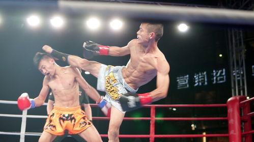 成人搏击配合热身视频,搏击激情——跟随专业视频热身，开启高效训练之旅