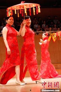 独舞剧目成人旗袍视频播放,光影交织间——成人旗袍舞蹈视频赏析