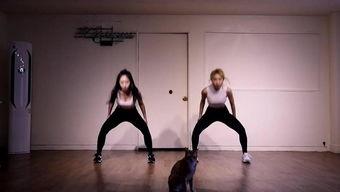 女生成人劈叉动作视频,动作解析与技巧分享