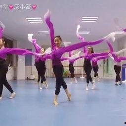 凉山赛马成人舞蹈视频,展现民族风采与活力