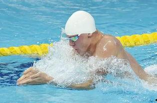 六十岁成人游泳教程视频