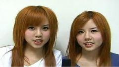 成人的世界歌曲视频下载,探寻情感与现实的交织旋律