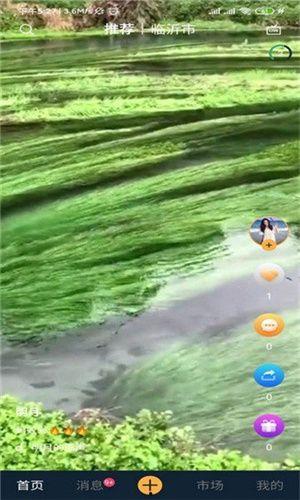 野草视频成人版免费观看,野草视频免费版带你领略精彩内容